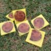 coastercherryyellow3