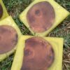 coastercherryyellow2
